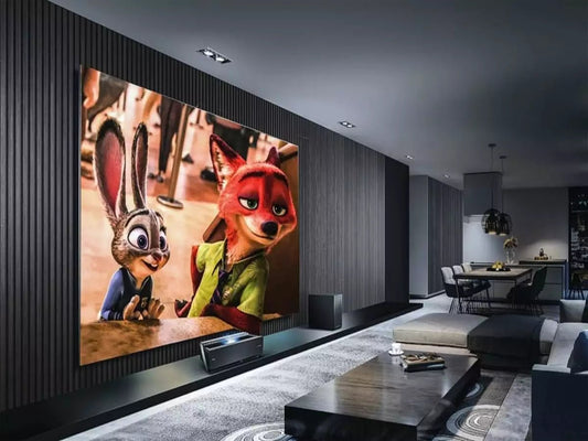 Projector Screen Paint - BG AudioVisual PTY LTD