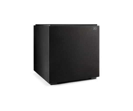 Definitive Technology DN12 12-Inch Subwoofer